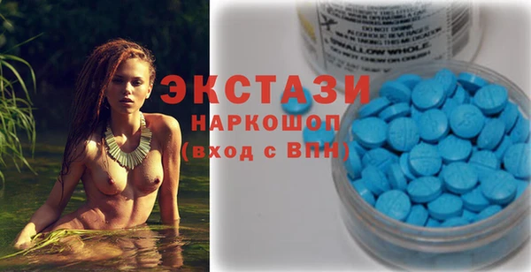 ECSTASY Бородино