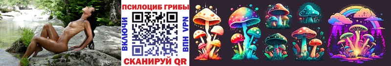 МЕГА онион  shop наркотические препараты  Псилоцибиновые грибы мицелий  Красногорск 