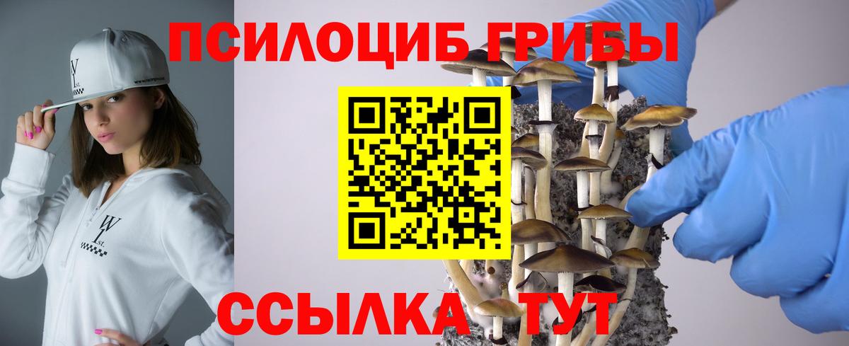 где купить наркоту  Галлюциногенные грибы прущие грибы  Вход с VPN  Красногорск  Псилоцибиновые грибы прущие грибы 
